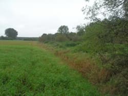 Niezabudowana działka nr 43/4 o pow. 0,2539 ha poł. w Dobrzanach