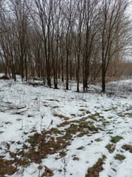 działka 85/6 i 85/7 o pow. 2,8444 ha grunty orne