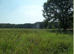 działki 13,77 ha Zawada (Podole Wielkie), gmina Główczyce