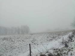 Nieruchomość rolna, niezabudowana, położona we wsi Franknowo, obręb 0002, gm. Jeziorany