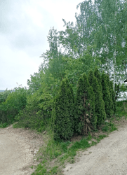 nieruchomość