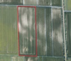 Działka ewidencyjna nr 376 (grunty orne) o pow. 3,3700 ha położona w miejscowości Sielec gm. Leśniowice, stanowiąca w 1/2 części własność dłużnika Bondaruk Danuta