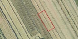 Działka ewidencyjna nr 1635 (grunty orne) o pow. 0,06 ha, położone w miejscowości Siedliska I gm. Fajsławice, stanowiąca w 7/32 części własność dłużnika Żuraw Krzysztof