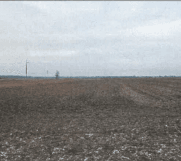 Syndyk sprzeda nieruchomości gruntowe w obrębie Nietków