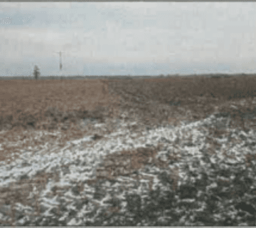 Syndyk sprzeda nieruchomości gruntowe w obrębie Nietków — miniatura 3