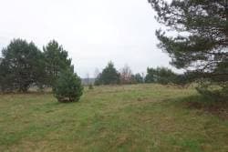 nieruchomość gruntowa niezabudowana, działka 1319/1 położona w Szczukowicach, działki nr 75 i 96/1 położone w Szczukowskich Górkach, łączna powierzchnia 1,41 ha
