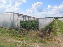 Działka rolna numer 477, 0,76 ha, Bąków gm. Rusinów