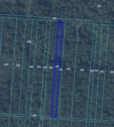 Prawo własności do nieruchomości gruntowej - las 0,17 ha - Andrzejów gm. Kamień
