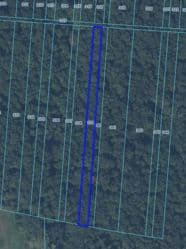 Prawo własności do nieruchomości gruntowej - las 0,19 ha - Andrzejów gm. Kamień