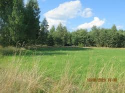 Działka rolna o numerze 15, 0,23 ha, Bąków gm. Rusinów