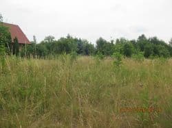 Nieruchomość gruntowa