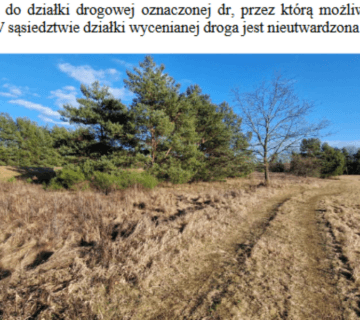 Syndyk sprzeda nieruchomość gruntową niezabudowaną w Przewozie — miniatura 5