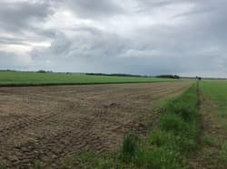 nieruchomość