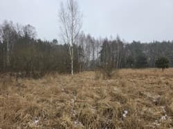 1/8 niewydzielonej części nieruchomości gruntowej niezabudowanej