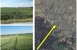 działki nr 164 oraz 165 o łącznej pow. 1ha69a91m2, położone w msc. Kamionka, gmina Kozłów, pow. miechowski opisane jako grunty orne