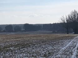nieruchomość gruntowa niezabudowana (działka ozn. nr 586)