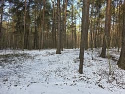 nieruchomość gruntowa niezabudowana (działka ozn. nr 349)