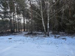 nieruchomość gruntowa niezabudowana (działka ozn. nr 254)