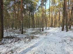 nieruchomość gruntowa niezabudowana (działka ozn. nr 380)