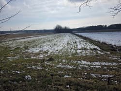nieruchomość gruntowa niezabudowana (działka ozn. nr 711)