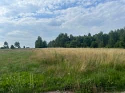 działka