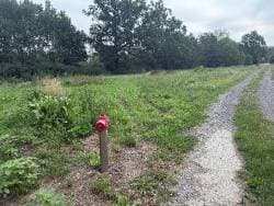 Niezabudowana działka położona w Podbieli