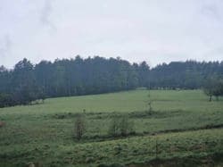 Działka gruntowa oznaczona nr ew. 247/2 o powierzchni 3,90 ha, położona w miejscowości Jastrzębik