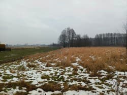 działka nr ewid. 686