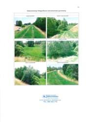 nieruchomość gruntowa niezabudowana składającaj się z działki ew. nr 684 o pow. 0,1600 ha, położonej w miejscowości Sadkowa Góra, gmina Borowa, dla której Sąd Rejonowy w Mielcu V Wydział Ksiąg…