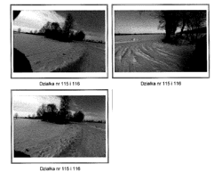 Licytacja wydzielonej działka gruntu nr 116 o pow. 0,70 ha