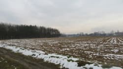 Działka nr 1176 obręb Wola Buchowska