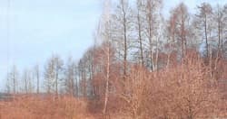 NIEZABUDOWANA NIERUCHOMOŚĆ GRUNTOWA O NR KW [numer KW]