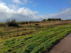 Nieruchomość gruntowa 26,8100 ha, Podgórze (gmina Braniewo)