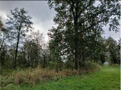 Nieruchomość gruntowa 12,0700 ha, Podgórze (gmina Braniewo)