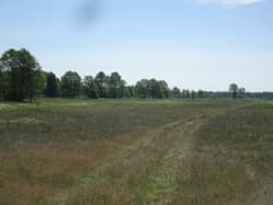 nieruchomość gruntowa (działka ozn. 2663)