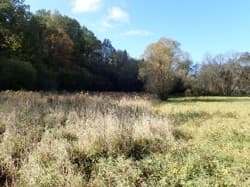 działka 1550 o pow. 0,3208 ha