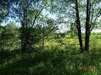 udział nr 2 w wys. 1/2 w działce nr 349 i 366