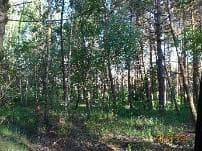 udział nr 2 w wys. 1/2 w działce nr 1928