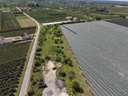 prawo użytkowania wieczystego nieruchomości, dz. nr 82/4 o pow. 0,4365 ha położona Wilków Kolonia gm. Wilków
